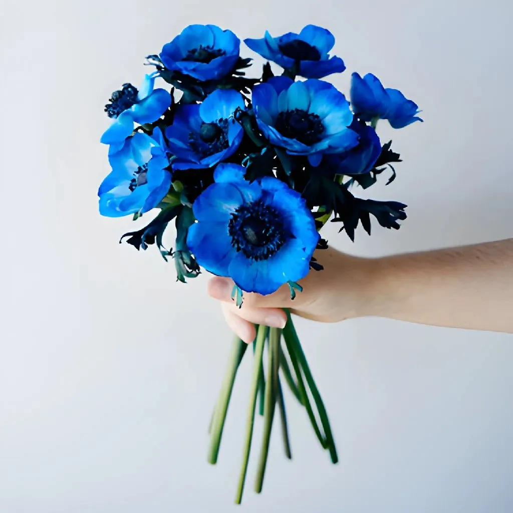 Blue Enhanced Anemone
