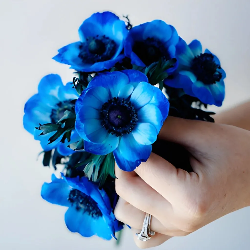 Blue Enhanced Anemone